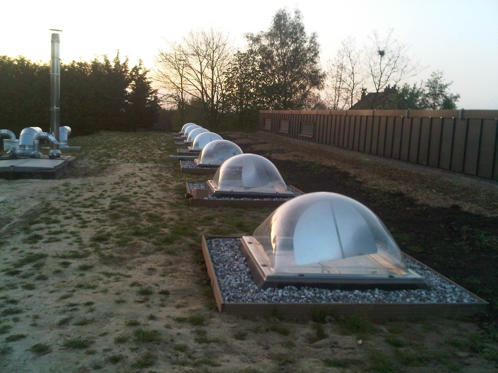 IMG00215-20110410-0708-1024x768